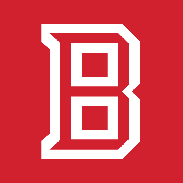 Bradley Braves 2012-Pres Secondary Logo v4 diy iron on heat transfer
